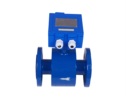 BSD-EF-F2分體式電磁流量計（220V供電）